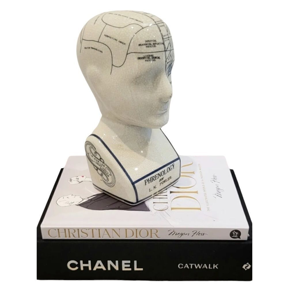 Phrenology Head 9"‎ L.N Fowler Ceramic Crackle Glaze Ornaments Figurines Bust